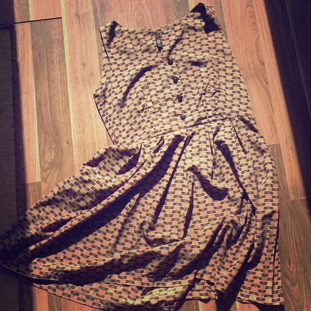 Dragonfly Dress w/ black rose buttons & pockets!